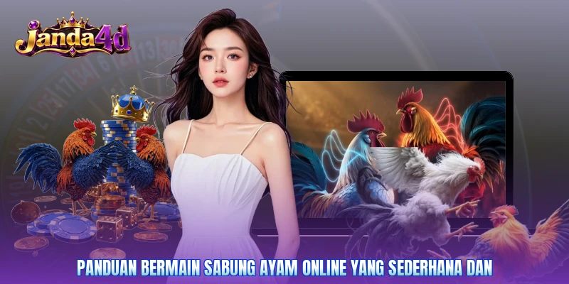 Panduan bermain sabung ayam online yang sederhana dan